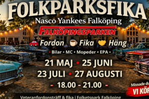 Folkparksfika Falköping