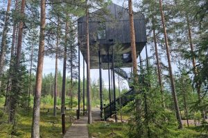Vårmönstring Skellefteå-Luleå 17 maj kl 10,00