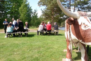 Solen sken över vår lunchpaus på Torpön.