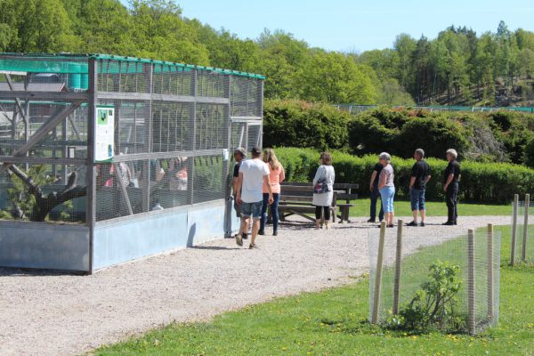 Efter lunch tog några en promenad i vilthägnet, medan andra satt och njöt i solen.