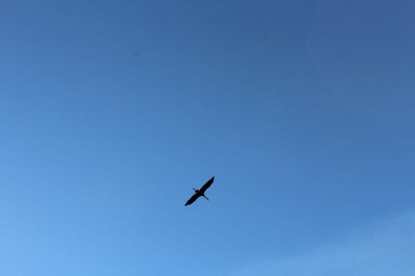 Fanns glidare både i karavanen och ovanför den.