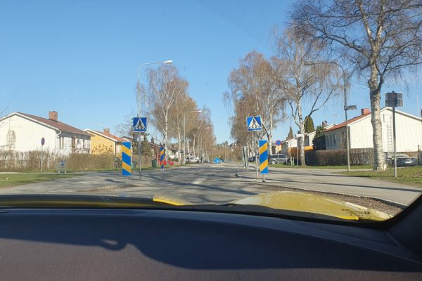 Och visst var det vår - björkarna på vår gata har fått musöron!
