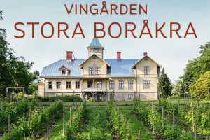 Fredagsaktivitet – Vinprovning – En exklusiv resa genom Vinsverige
