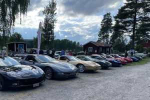 Mo Bygdegård bilträff